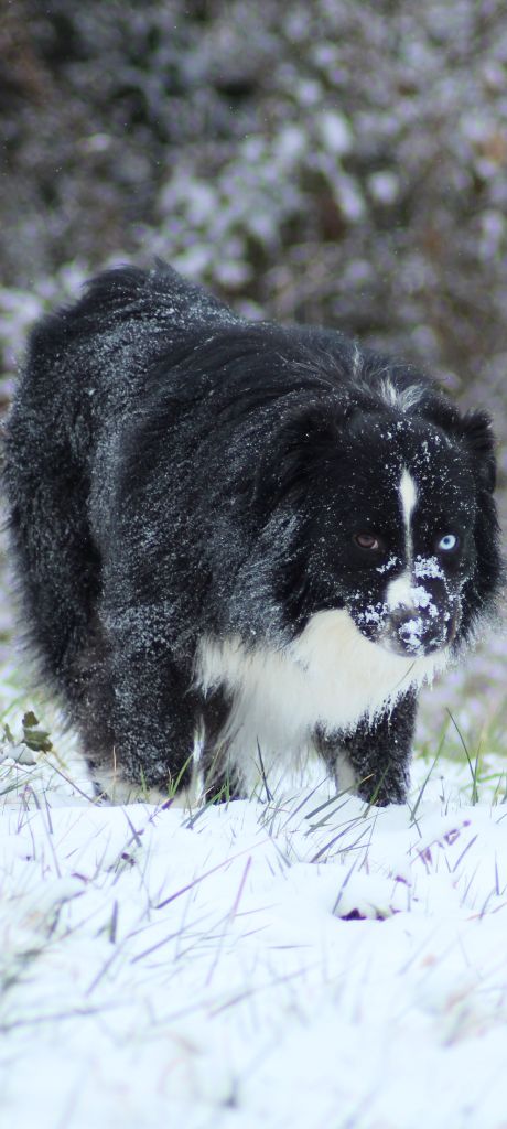 R-thor (Sans Affixe)